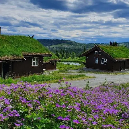 Holiday home Kamben Hytteutleie Gol