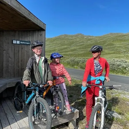 Holiday home Kamben Hytteutleie Gol